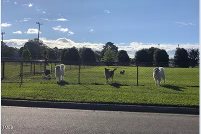 257 New Twin Branch Court, Smithfield, NC 27577 - Photo 48