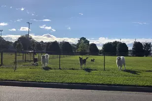 233 New Twin Br Ct, Smithfield, NC 27577 - Photo 46