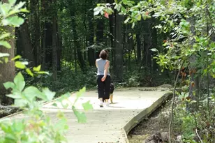 152 N White St, Wake Forest, NC 27587 - Photo 28