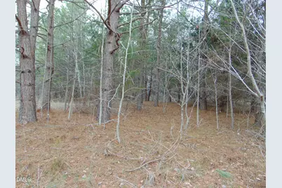 12 Lone Oak Trail, Providence, NC 27315 - Photo 6