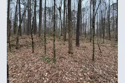 0 Eatmon Road, Zebulon, NC 27597 - Photo 56