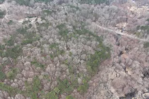 0 Eatmon Rd, Zebulon, NC 27597 - Photo 1