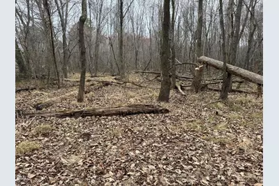 0 Eatmon Road, Zebulon, NC 27597 - Photo 30