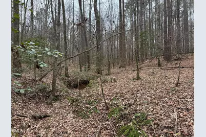 0 Eatmon Road, Zebulon, NC 27597 - Photo 14