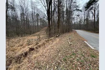 0 Eatmon Road, Zebulon, NC 27597 - Photo 4