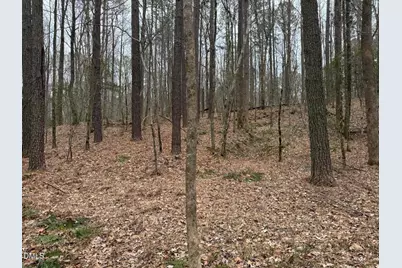 0 Eatmon Road, Zebulon, NC 27597 - Photo 36