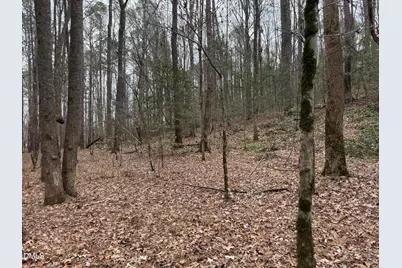 0 Eatmon Road, Zebulon, NC 27597 - Photo 6