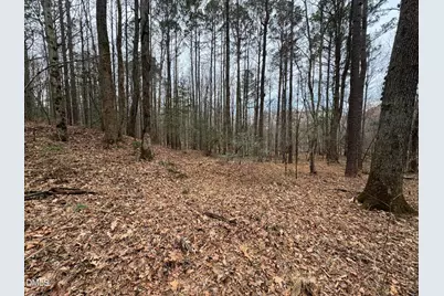 0 Eatmon Road, Zebulon, NC 27597 - Photo 62