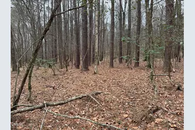 0 Eatmon Road, Zebulon, NC 27597 - Photo 26