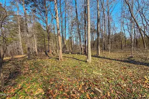 12492 N Carolina 119, Semora, NC 27343 - Photo 44