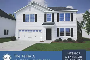 10 Buckthorn Dr, Youngsville, NC 27596 - Photo 4