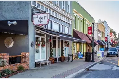 319 Jeter Grove Road, Apex, NC 27523 - Photo 18