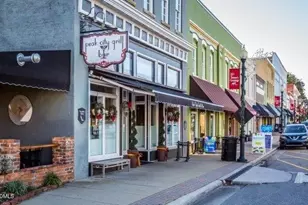 319 Jeter Grove Rd, Apex, NC 27523 - Photo 18