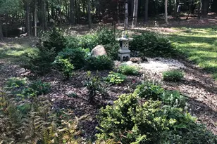 350 Wild Rose Ln, Pittsboro, NC 27312 - Photo 72