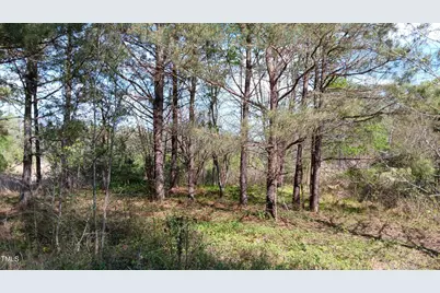 0 Cypress Creek Drive, Louisburg, NC 27549 - Photo 10