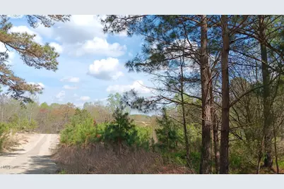 0 Cypress Creek Drive, Louisburg, NC 27549 - Photo 12