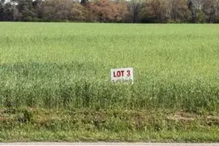 2278 Jonesboro Rd, Dunn, NC 28334 - Photo 1