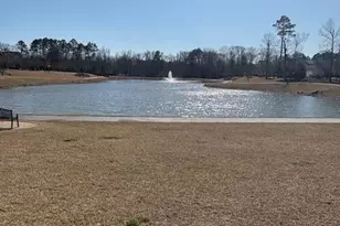 1010 Christopher Dr, Chapel Hill, NC 27517 - Photo 20