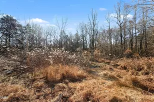 7001 Bobby Jean Rd, Julian, NC 27283 - Photo 8