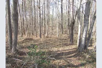 11.73 Acre Nc Hwy 96, Zebulon, NC 27597 - Photo 8