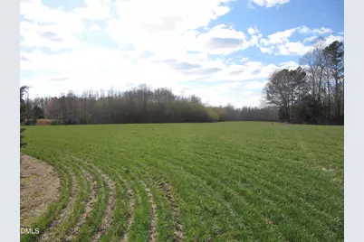 11.73 Acre Nc Hwy 96, Zebulon, NC 27597 - Photo 2