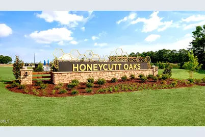 256 Honeydew Drive, Angier, NC 27501 - Photo 38