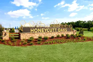 256 Honeydew Dr, Angier, NC 27501 - Photo 38