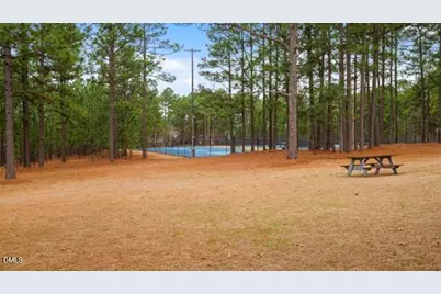 115 Baystone Drive, Sanford, NC 27332 - Photo 56