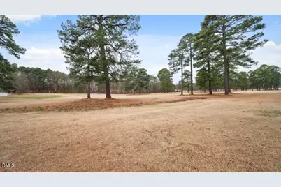 115 Baystone Drive, Sanford, NC 27332 - Photo 48