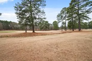 115 Baystone Dr, Sanford, NC 27332 - Photo 48