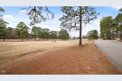 115 Baystone Drive, Sanford, NC 27332 - Photo 50