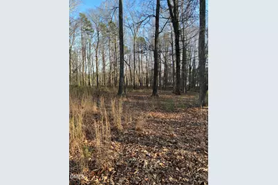 Lot 3 Jacks Trail, Hillsborough, NC 27278 - Photo 6