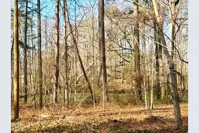 6998 US 421 S, Bear Creek, NC 27207 - Photo 44