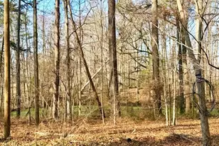 6998 US 421 S, Bear Creek, NC 27207 - Photo 44