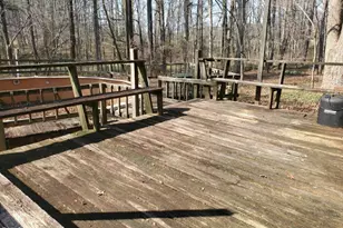 6998 US 421 S, Bear Creek, NC 27207 - Photo 38