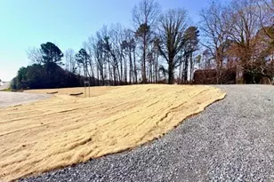 6998 US 421 S, Bear Creek, NC 27207 - Photo 54