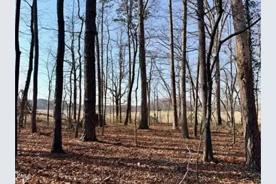 6998 US 421 S, Bear Creek, NC 27207 - Photo 52