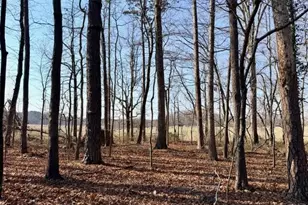 6998 US 421 S, Bear Creek, NC 27207 - Photo 52