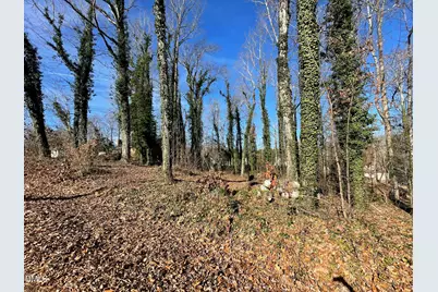 N/A Driftwood Drive, Siler City, NC 27344 - Photo 2