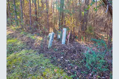 130 Bur Oak Court, Pittsboro, NC 27312 - Photo 70