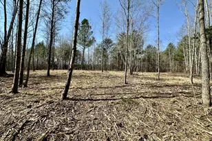 6 14 Acres Allen Creek Rd, Rougemont, NC 27572 - Photo 1