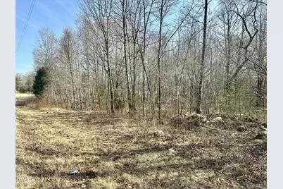 6.14 Acres Allen Creek Road, Rougemont, NC 27572 - Photo 10