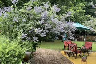 1517 US 70A, Hillsborough, NC 27278 - Photo 32