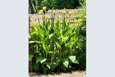 1517 US 70A, Hillsborough, NC 27278 - Photo 42