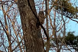 1132 4 Wheel Dr, Wake Forest, NC 27587 - Photo 48