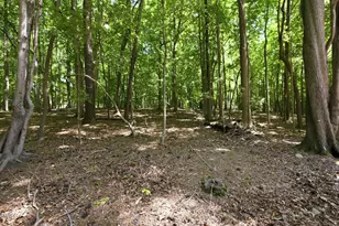 3401 Seven Springs Rd, Hillsborough, NC 27278 - Photo 52