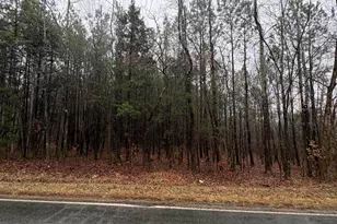 0 Glosson Rd, Siler City, NC 27344 - Photo 1