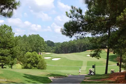 3901 Sanford Creek Avenue, Wake Forest, NC 27587 - Photo 60