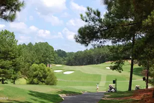 3901 Sanford Creek Ave, Wake Forest, NC 27587 - Photo 60