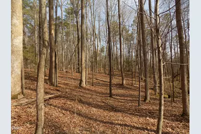 598 Moores Pond Road, Youngsville, NC 27596 - Photo 24